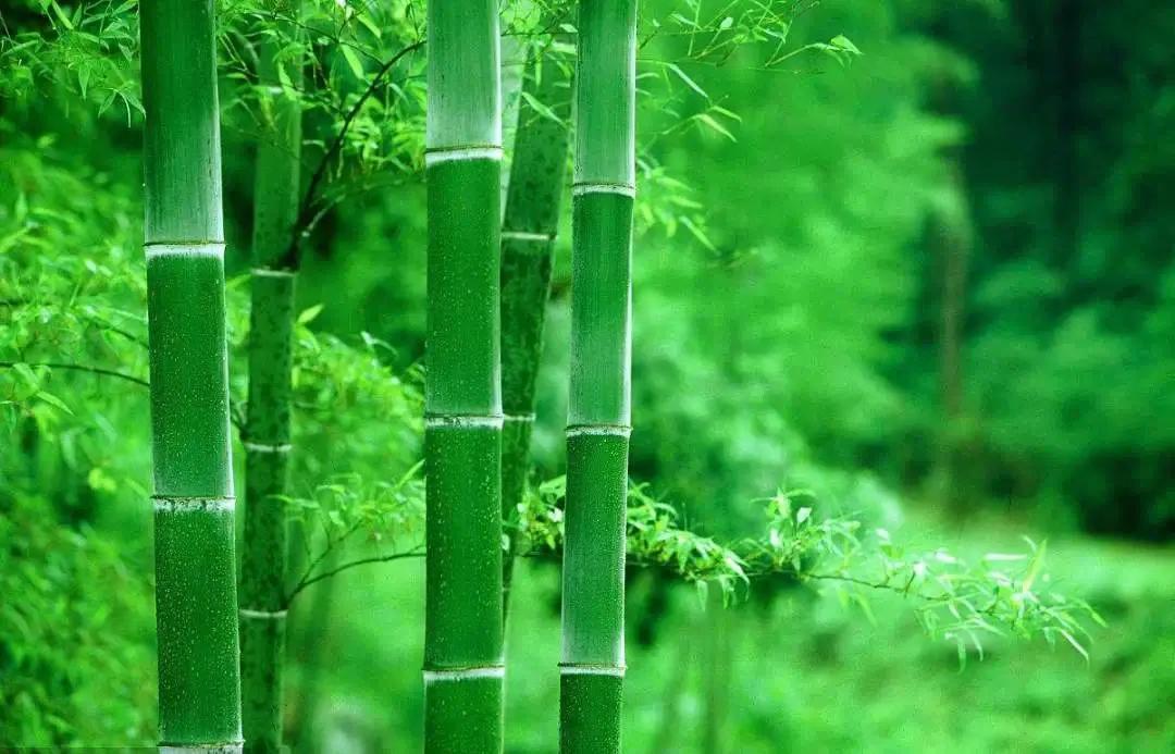 倪海厦临床医案解说,倪海厦看病十问十诊总结