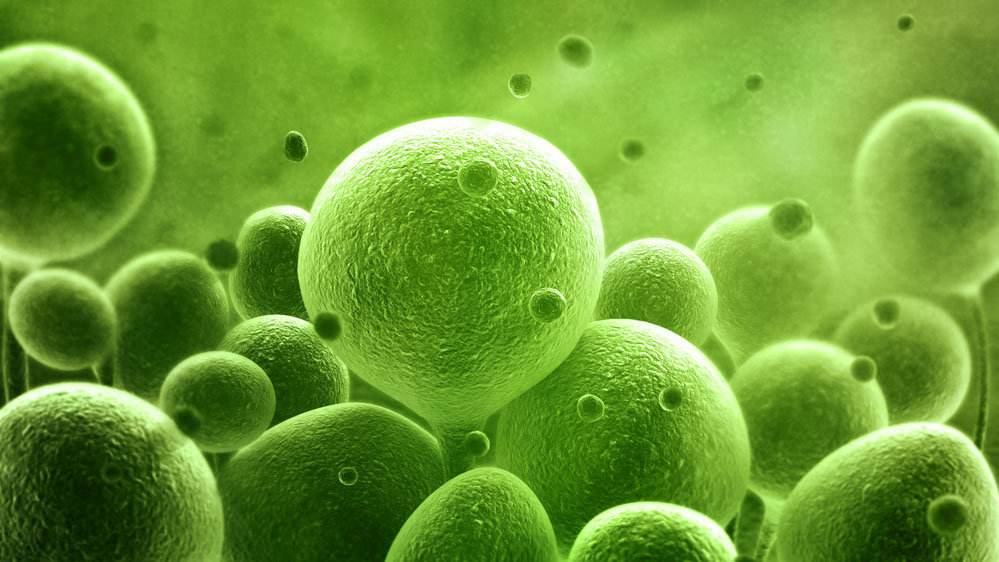 监测排卵最简单易行的方法,监测排卵的五个方法