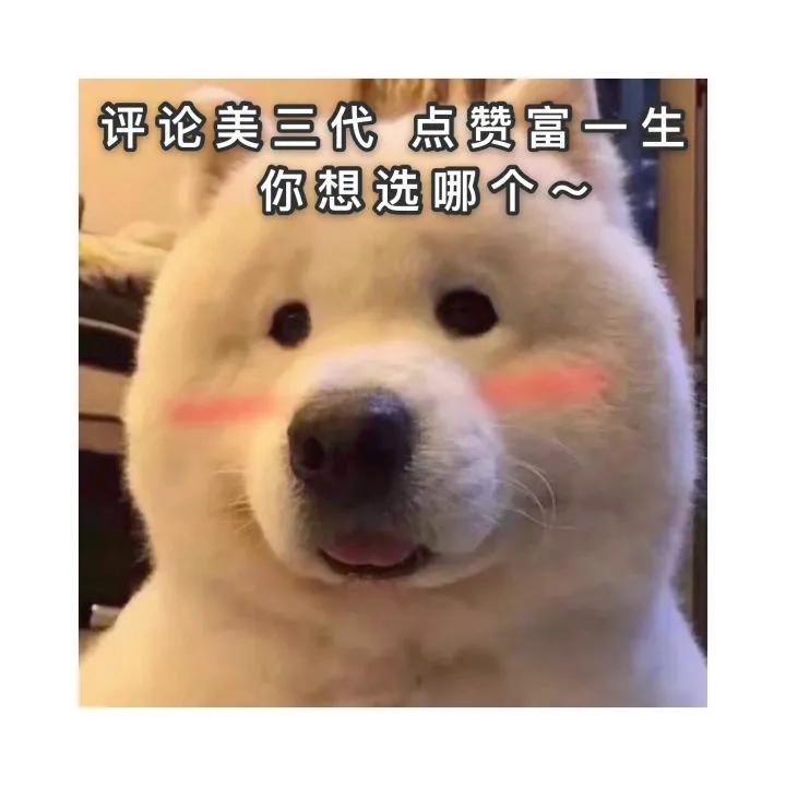 如何用鲁迅的口吻写辞职信,模仿鲁迅的语气写一封辞职信