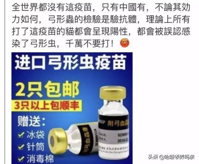 猫咪乳糖不耐受吃什么猫粮,猫咪不爱喝奶该如何解决