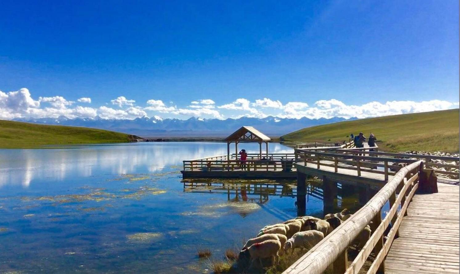 华夏第一州新疆巴州,华夏第一县简介