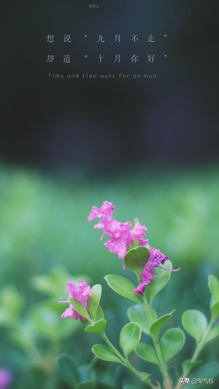 秋分一半热烈一半安详,秋分秋天分两半