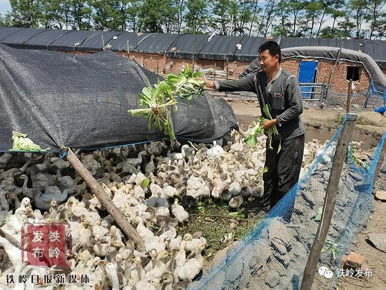 铁岭新闻20191011,铁岭新闻2017