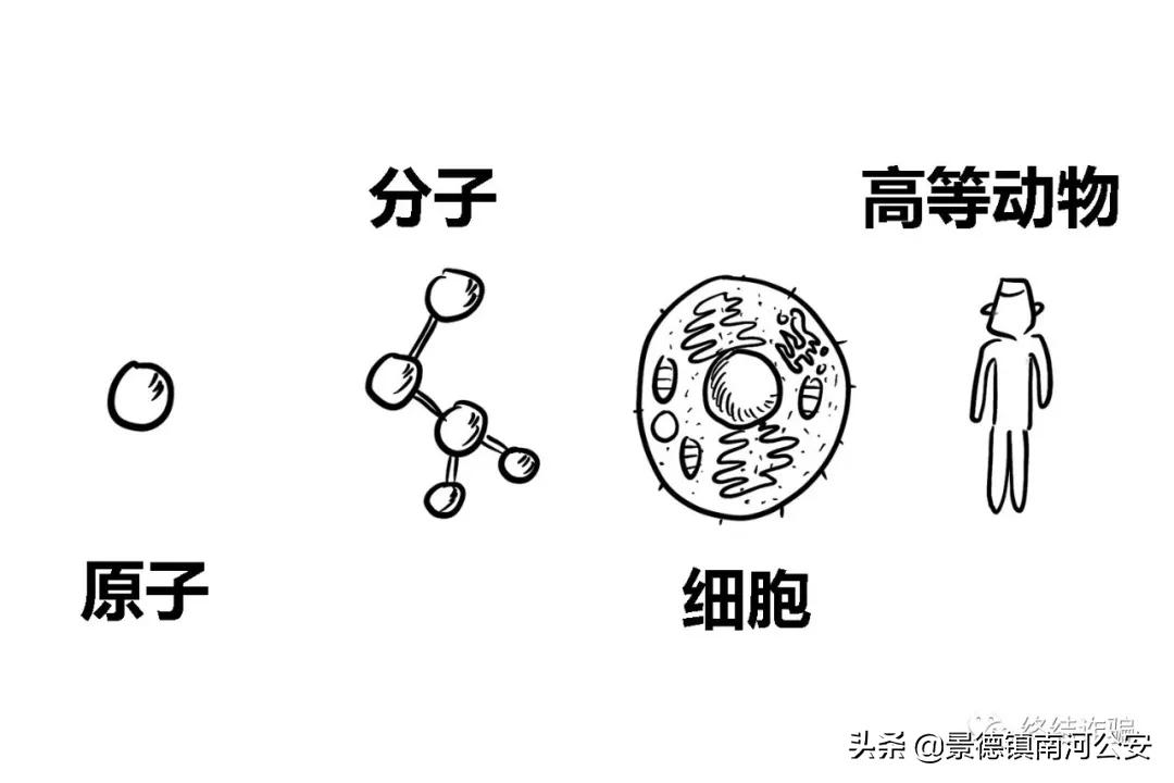 科普病毒真实情况,科学家研究病毒科普小知识