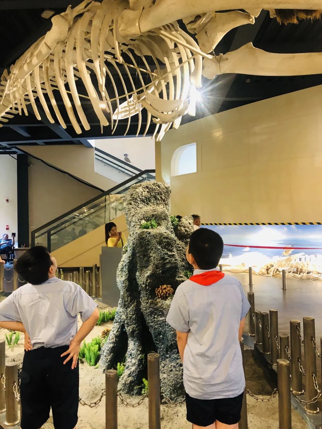 南通市实验小学2018,南通实验小学和开发区实验小学