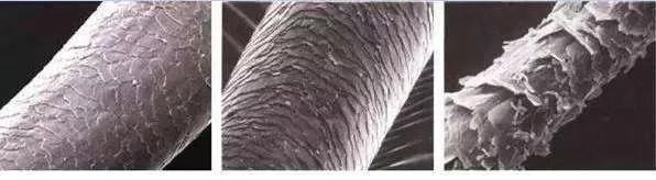 烫发后头发干枯毛躁什么原因,如何拯救烫发发型的发质