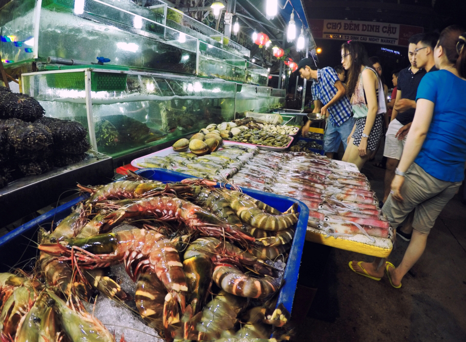 富国岛的真实情况,富国岛趣事