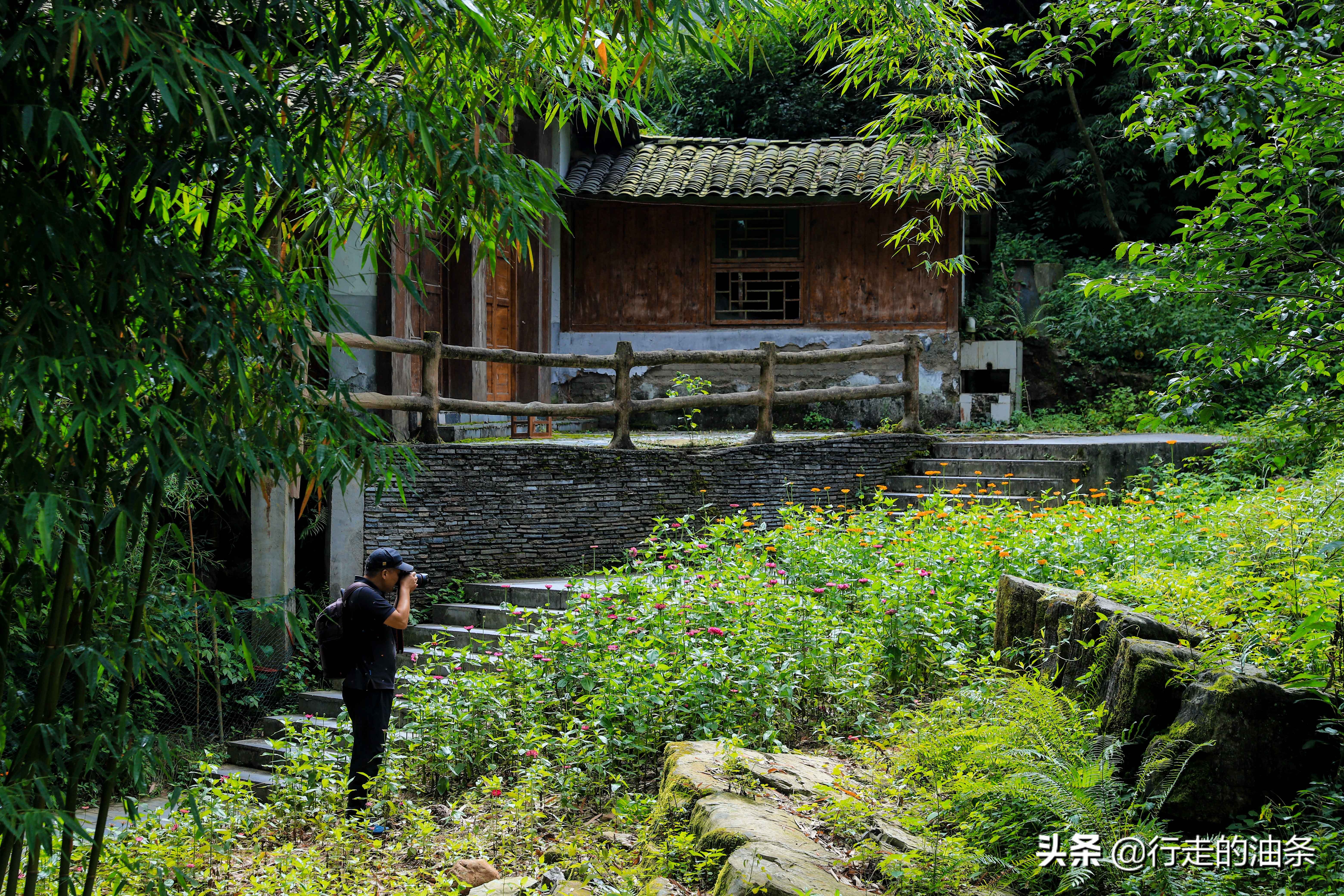 三峡竹海秭归,秭归三峡竹海