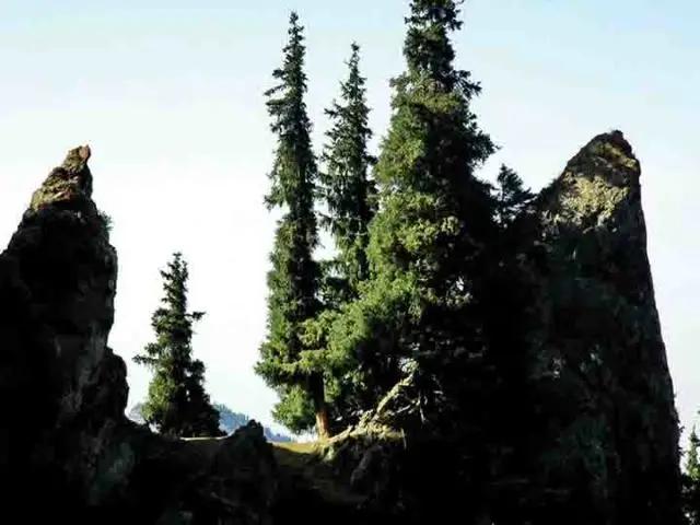 天山天池博格达峰马牙山,博格达峰马牙山