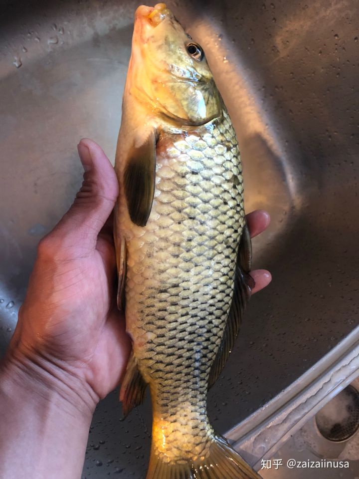 美国现在真实社会现状,美国社会真实的现状