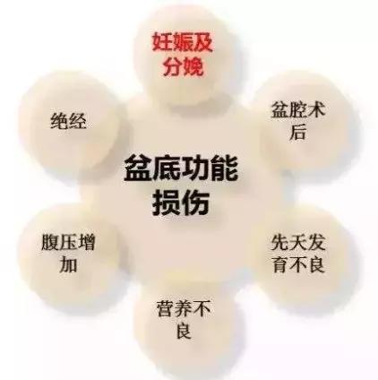 孕期耻骨分离痛是什么原因,孕期一侧耻骨疼怎么缓解