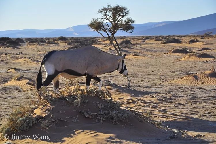 汇率起起伏伏，自然旅行跟着这张表格走，最划算