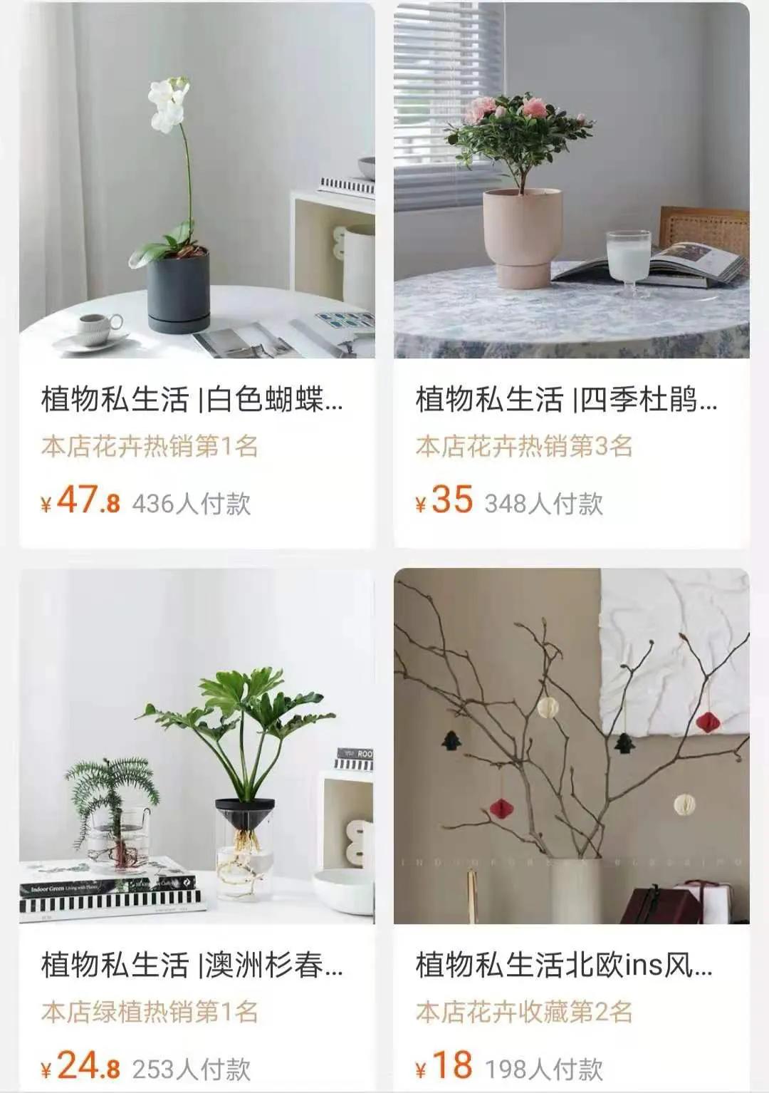 淘宝上有哪些酒好不怕巷子深的特色店铺