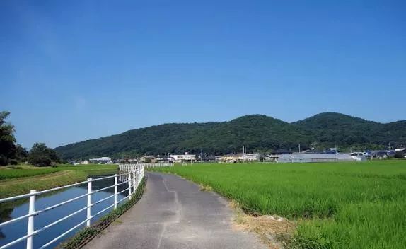 跟着柯南漫画去旅行,跟着柯南去探险