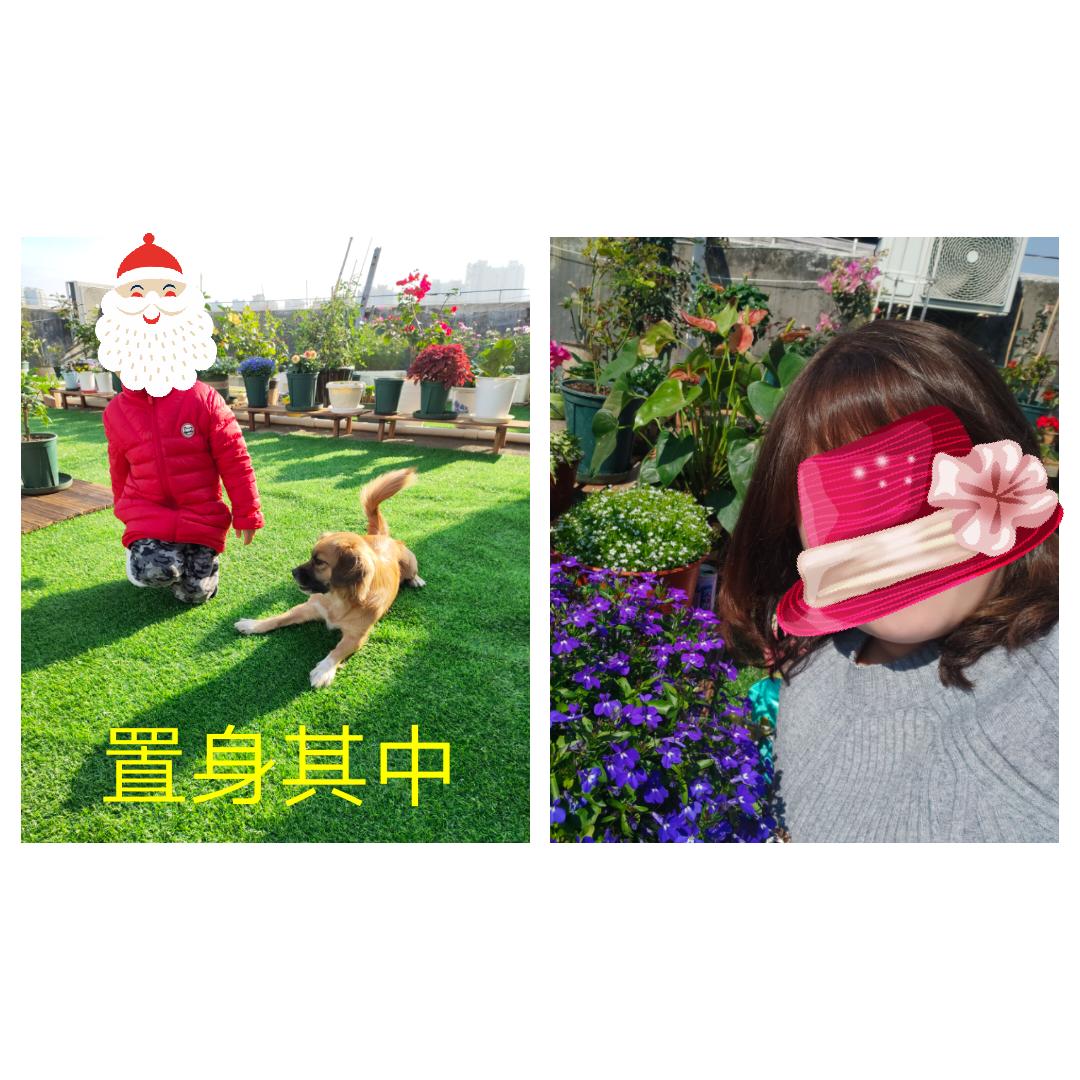 小楼花园0-1养成记