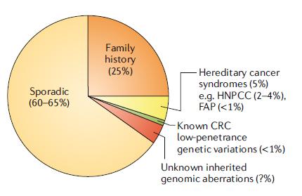 转移性结直肠癌基因问题,结直肠癌所需要检测的基因