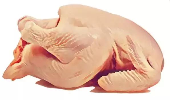 吃鸡有什么忌口,关于吃鸡关于忌口