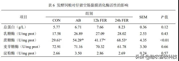 发酵饲料能提高多少吸收率,发酵饲料对猪有没有好处