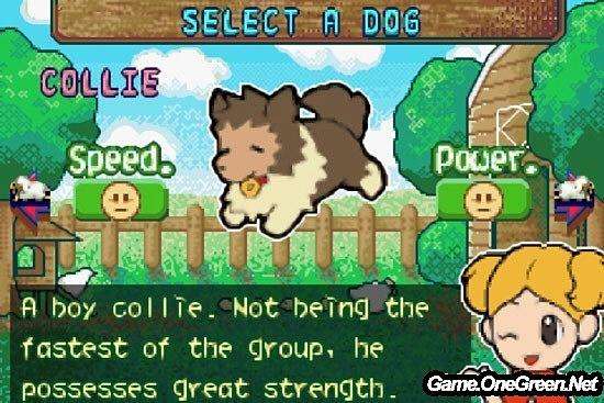 gba游戏推荐排行榜,gba游戏排行