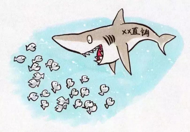 曝光康恩贝,康恩贝直销曝光新闻