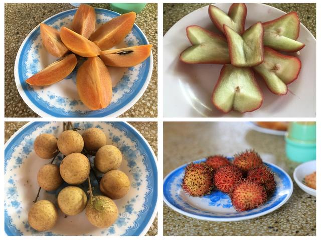 越南的美食美景,越南的美食和美景