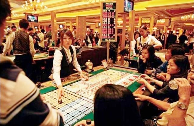 战胜凯利公式的方法,赌博的凯利定律