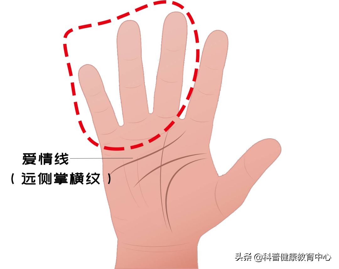 手相的科学解释,从医学角度解读手相的秘密