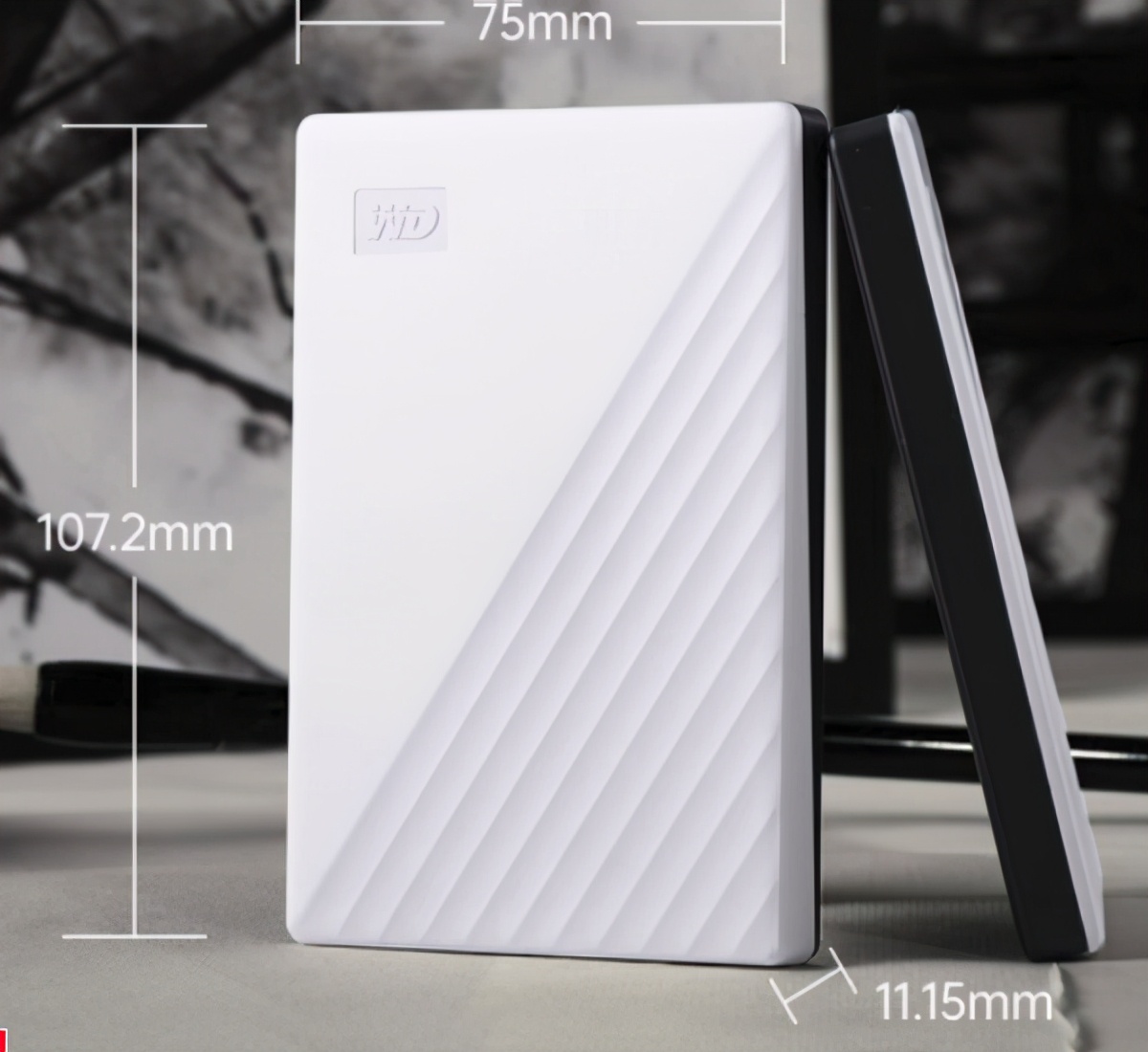 西部数据硬盘怎么选择,西部数据固态硬盘如何挑选