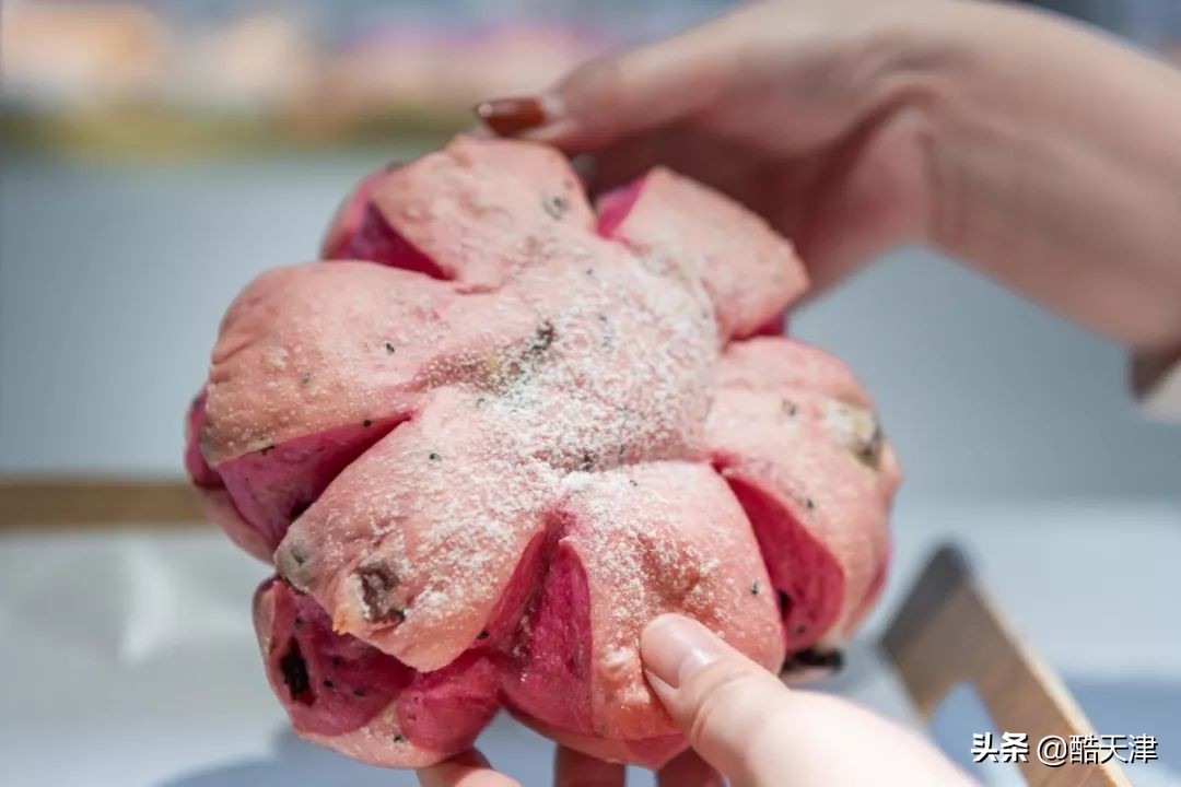 8号车库团购优惠,10号车库优惠团购