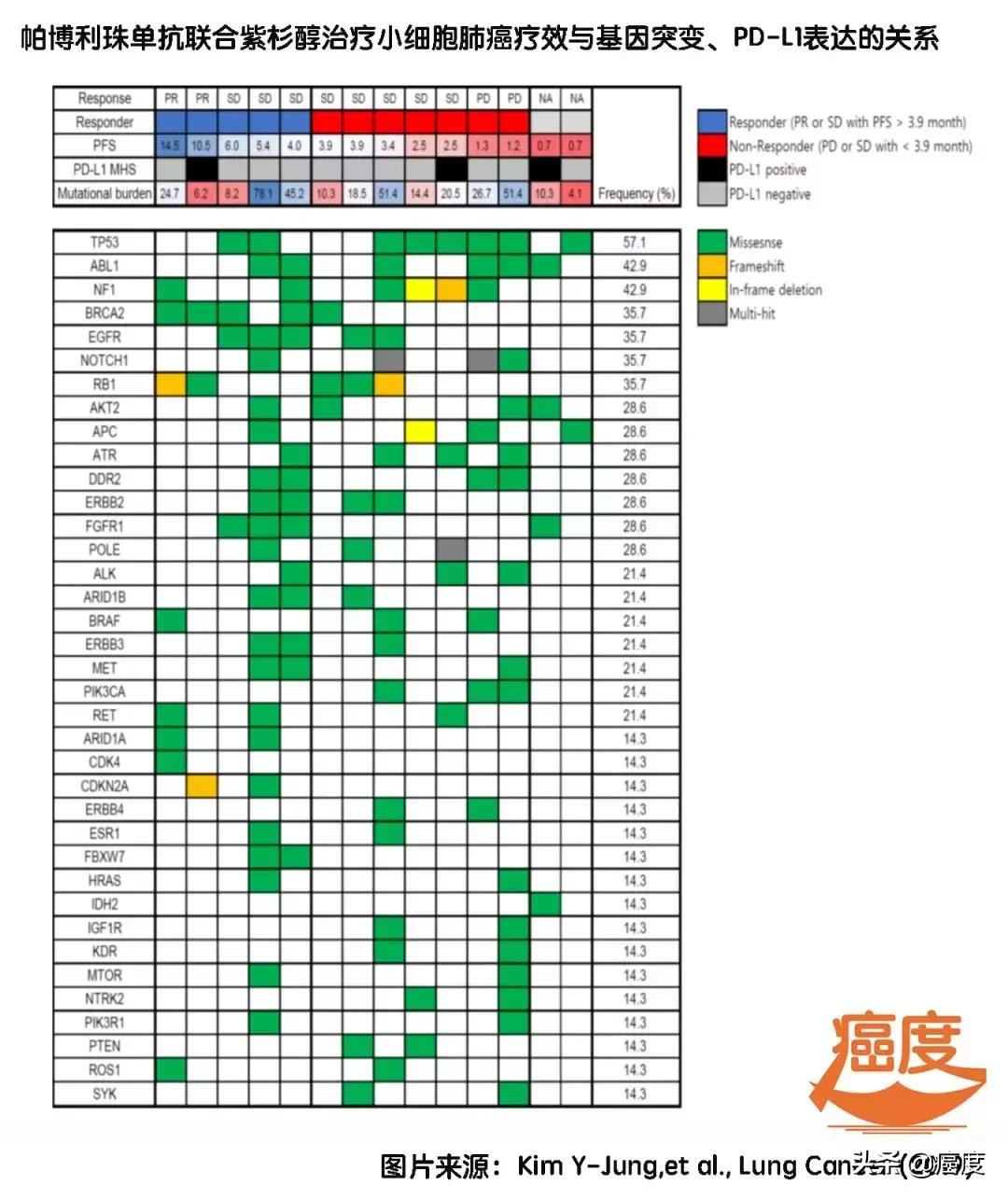 pd-1能治疗小细胞肺癌吗,小细胞肺癌指南2023化疗方案