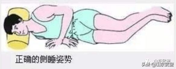 冬眠没完成怎么补救,进入冬眠的最佳方法