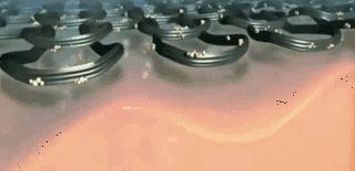 能当护肤品的小黑裤！显瘦润肤还保暖，好穿到李湘直接开直播叫卖