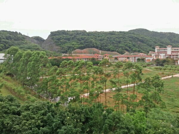 建在山谷里面的大学,建在山中的大学