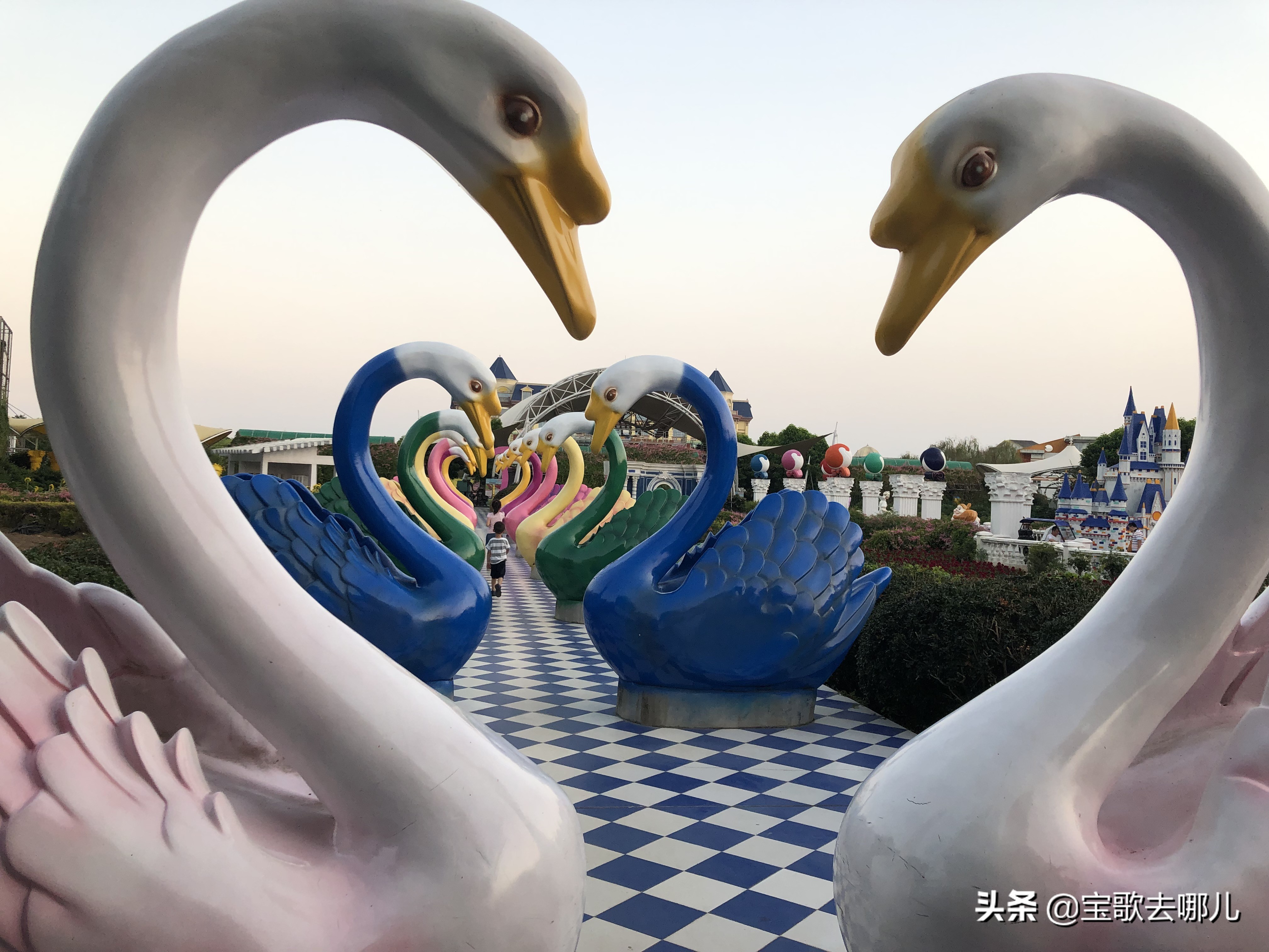 南沙百万葵园游记,南沙百万葵园亲子游