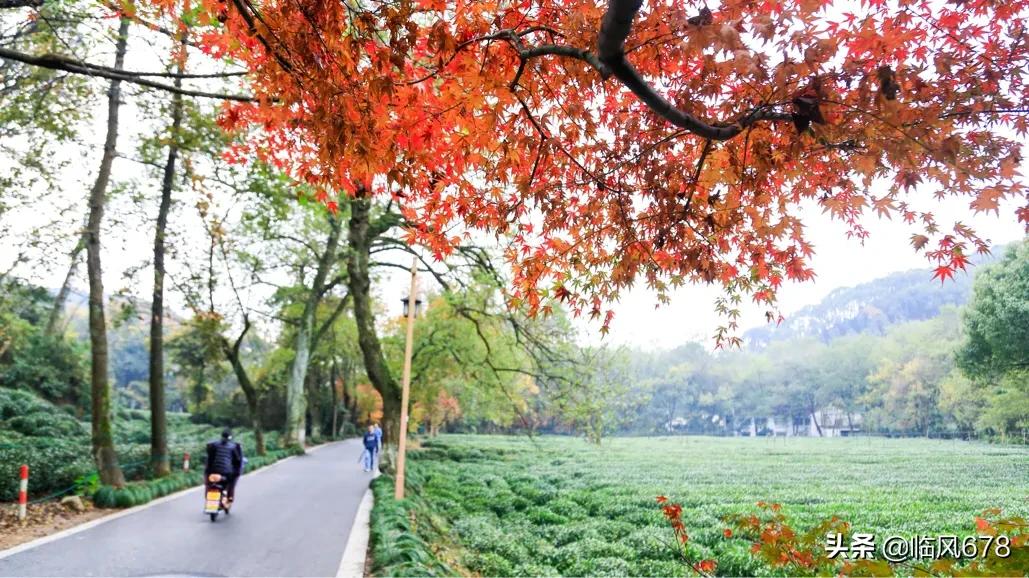 6月份的杭州九溪好看吗,这个季节杭州去哪里玩