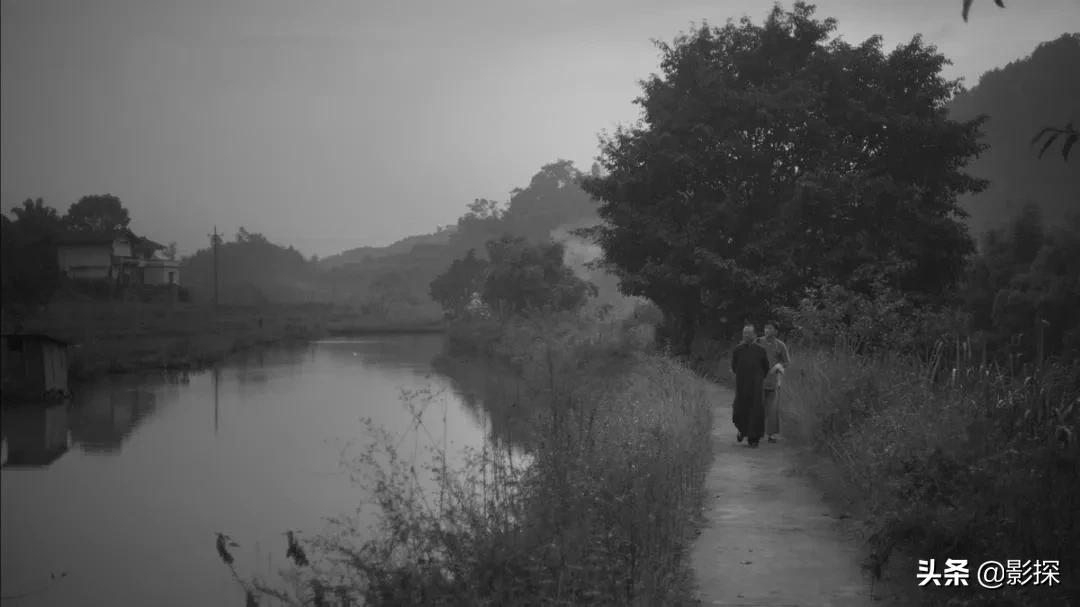 离谱影帝,他都可以拿影帝我凭什么不行原版