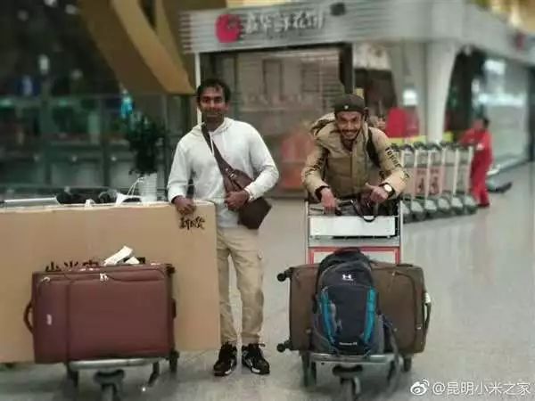 国外黄牛出售,国外黄牛和中国黄牛