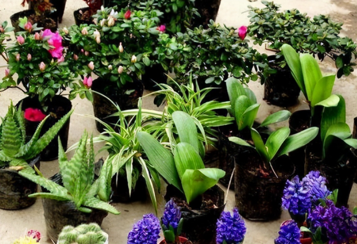 现在网上卖假花有市场吗,怎样卖假花卖得快