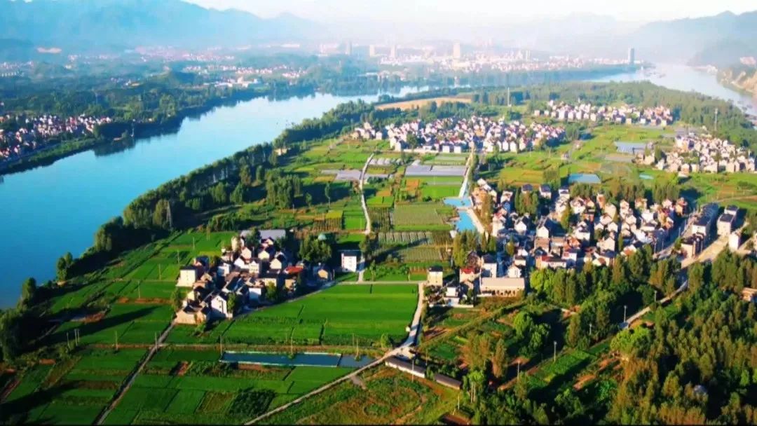 沙漠蝗灾防控措施,国家允许养殖蝗虫吗