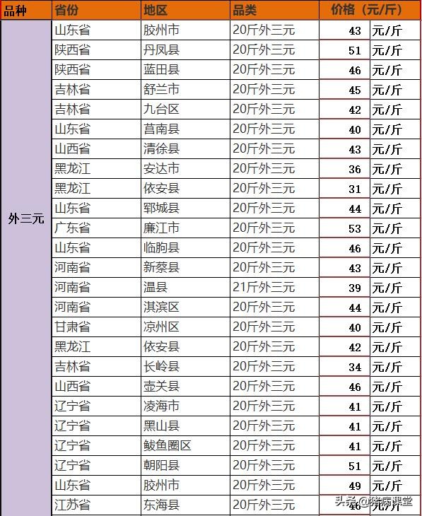 仔猪隐睾手术操作要多少钱,仔猪漏肠手术费用