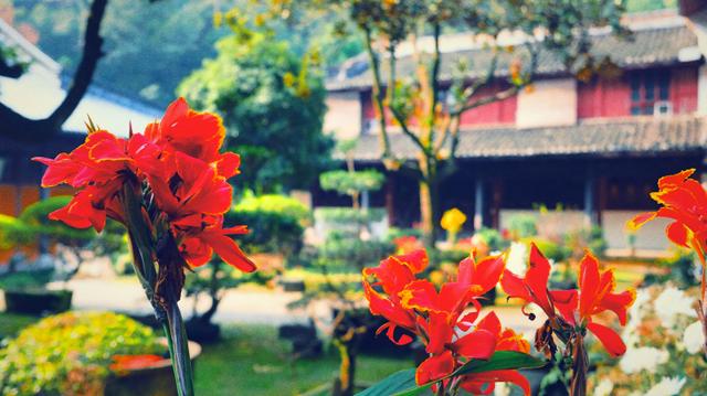 浙江这座5*级A**寺院景区，让我这俗人第一次有了想要“出家”的冲动