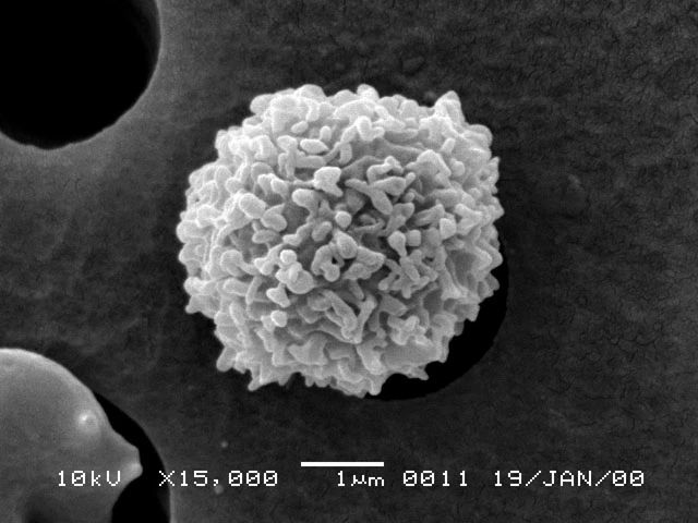 83天核事故救治纪录片,核灾83天死亡全记录