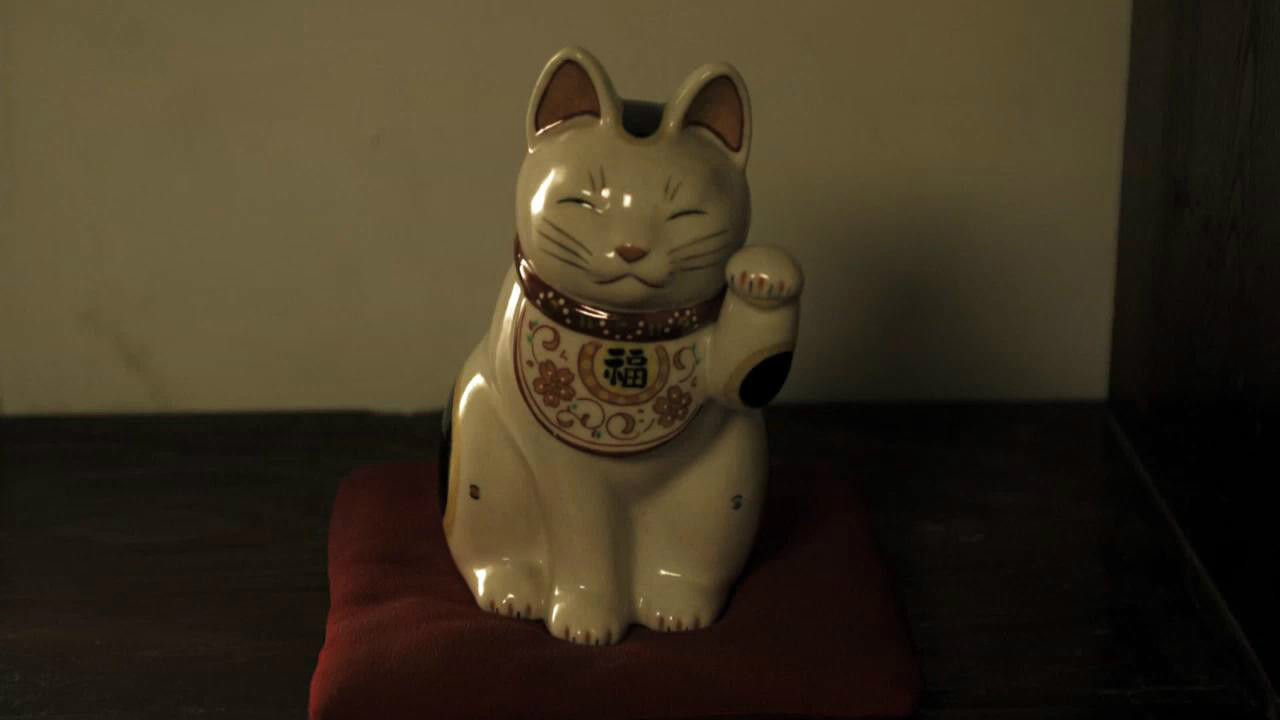 猫咪发出咕噜的声音摇尾巴,猫咪摇尾巴的表达方式