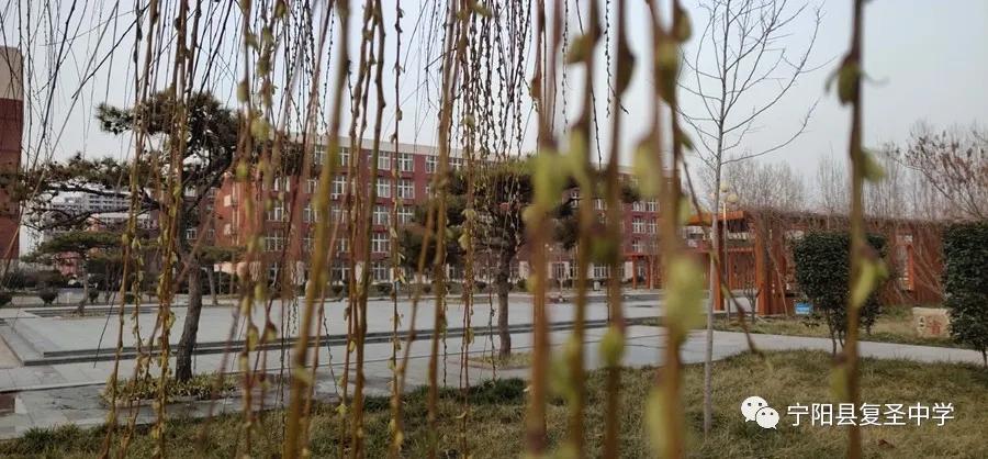 宁阳复圣中学校长李祥斌,宁阳李祥斌校长