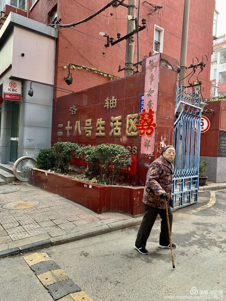 涧西牡丹广场老照片,洛阳牡丹手机拍照