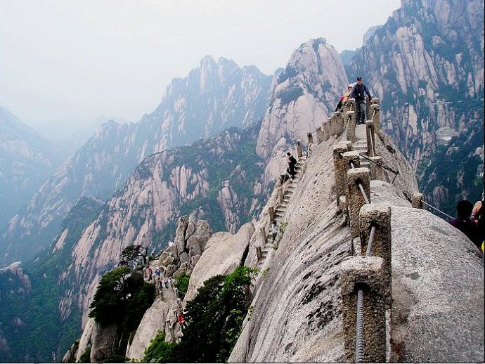 怎么区分转基因玉米 (转基因玉米和非转基因玉米的区别)