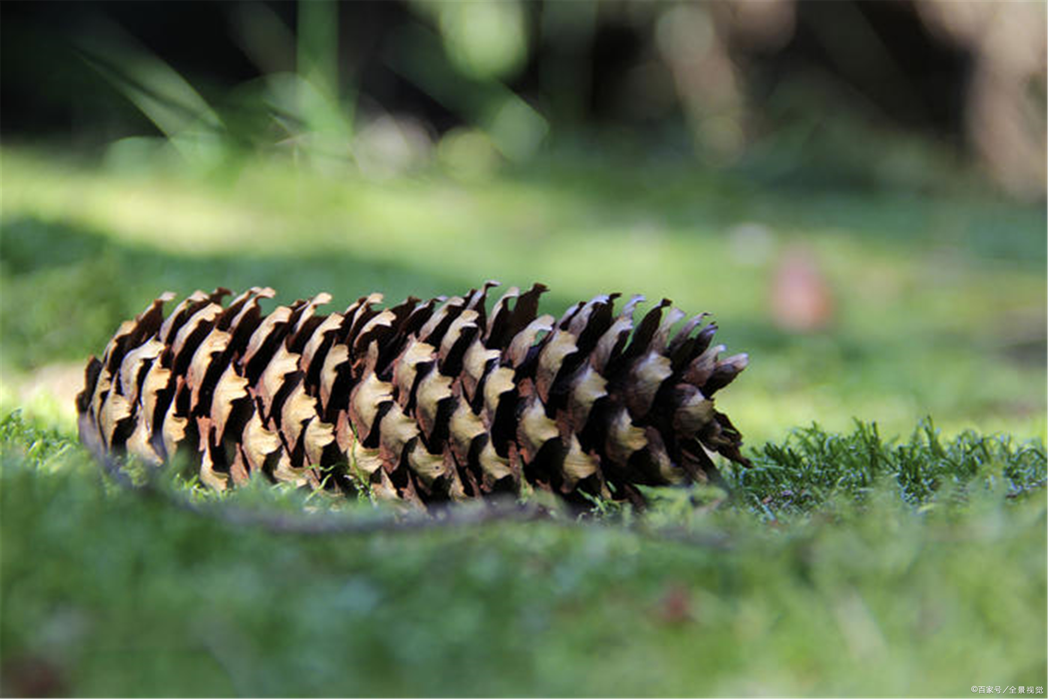 高中英语形容词的语法大全,高考英语语法形容词与副词的复习