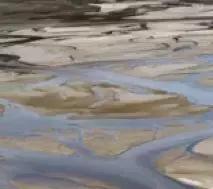 美容针知识大全,关于美容的句子大全