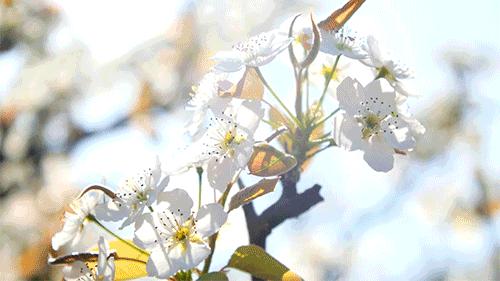 济南踏青旅游攻略,济南哪里的温泉适合带孩子去的