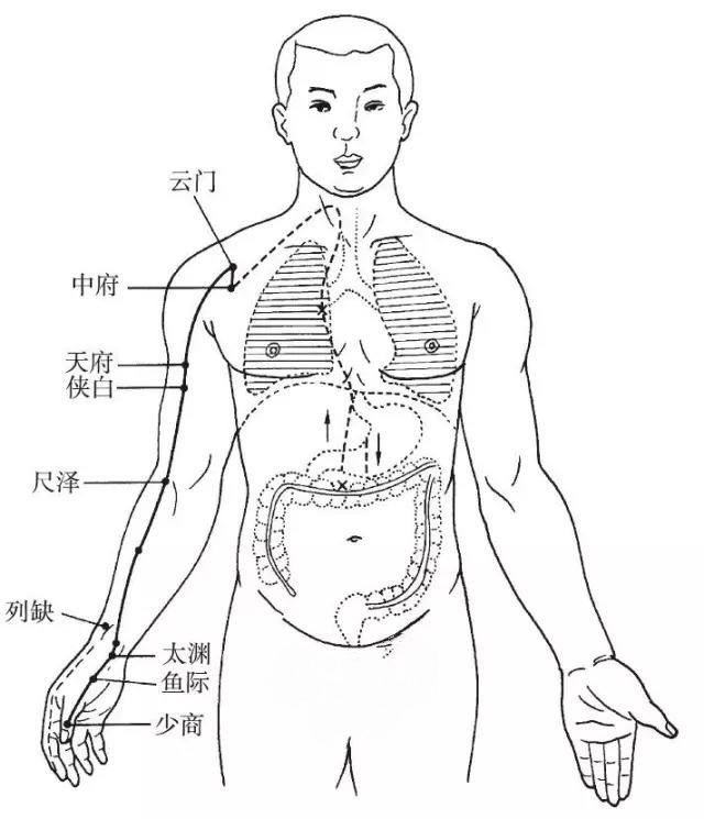 喉咽通过什么与何处相通,喉及声带气管食管解剖关系图